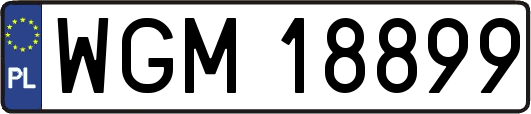 WGM18899