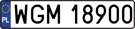 WGM18900