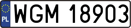 WGM18903