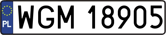 WGM18905