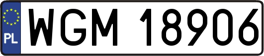 WGM18906