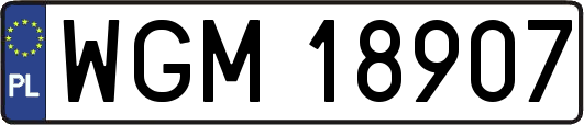 WGM18907