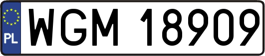 WGM18909