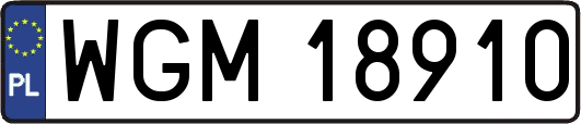 WGM18910