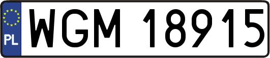 WGM18915