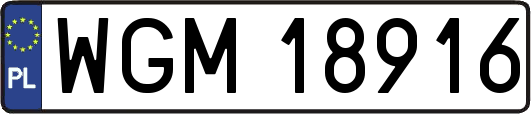 WGM18916