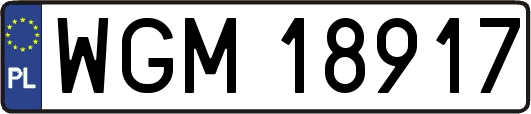 WGM18917