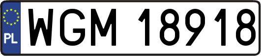 WGM18918