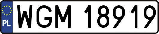 WGM18919