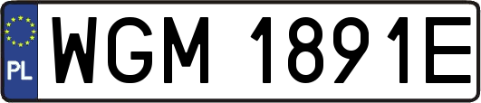 WGM1891E