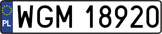 WGM18920