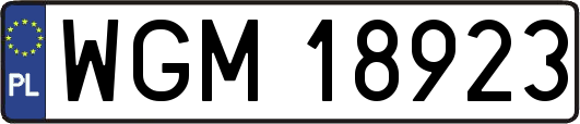 WGM18923