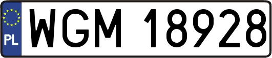 WGM18928