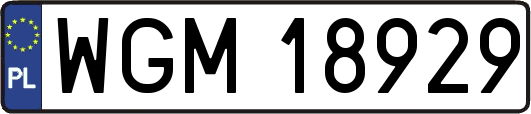 WGM18929