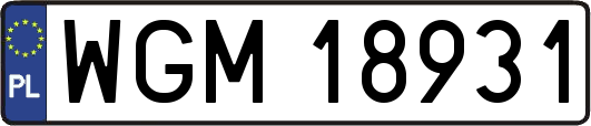 WGM18931