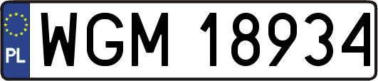 WGM18934