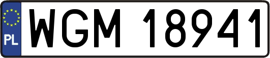WGM18941