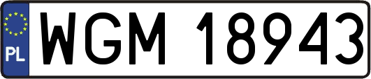 WGM18943