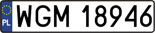 WGM18946