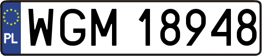 WGM18948