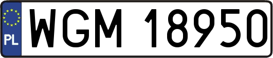 WGM18950