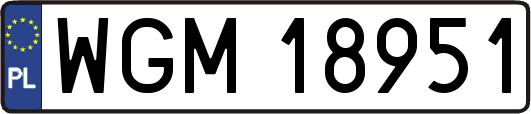 WGM18951