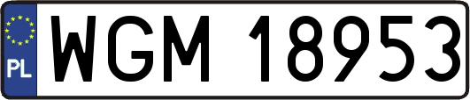 WGM18953