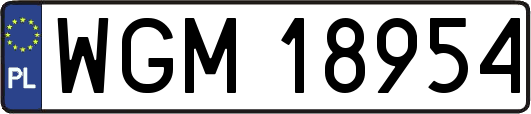 WGM18954