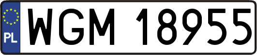 WGM18955