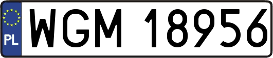 WGM18956