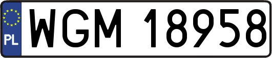 WGM18958