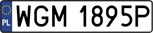 WGM1895P