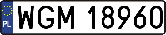 WGM18960