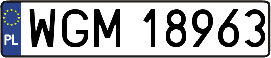 WGM18963