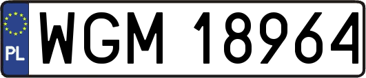 WGM18964