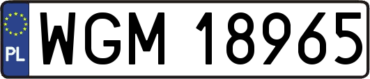 WGM18965