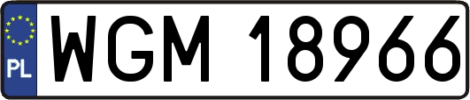 WGM18966