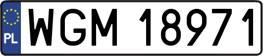 WGM18971
