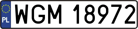 WGM18972
