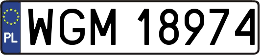 WGM18974