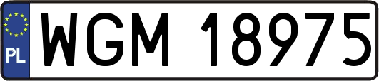 WGM18975