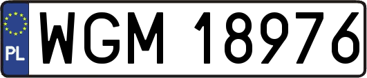 WGM18976