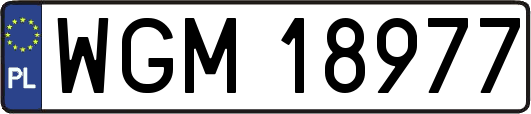 WGM18977