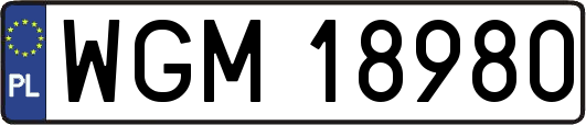 WGM18980