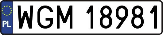 WGM18981