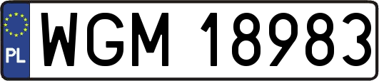 WGM18983