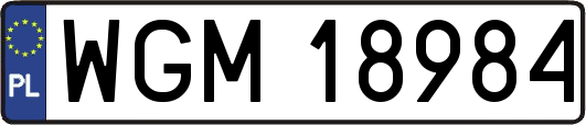 WGM18984
