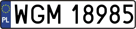 WGM18985