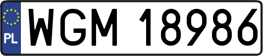 WGM18986