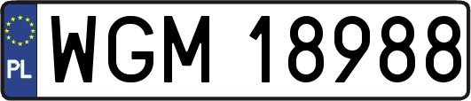 WGM18988